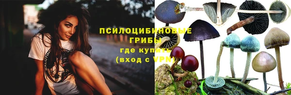 мет Пересвет