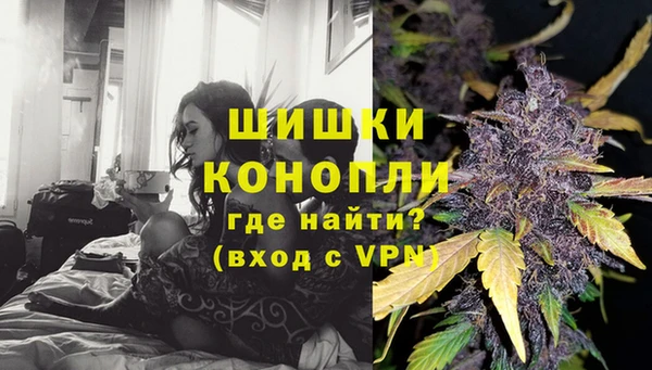 МДПВ Пестово