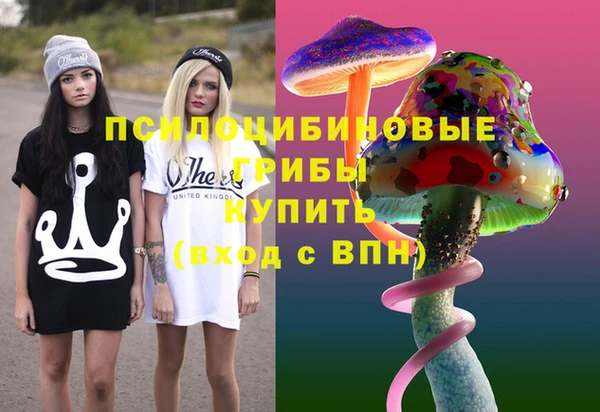 МДПВ Пестово