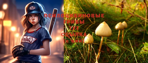 мет Пересвет