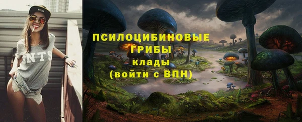 МДПВ Пестово