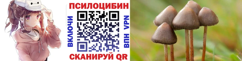 hydra как войти  Тогучин  Псилоцибиновые грибы MAGIC MUSHROOMS 
